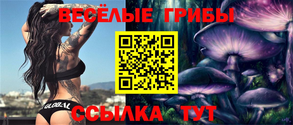 Нерюнгри  Псилоцибиновые грибы Cubensis  Вход с VPN 