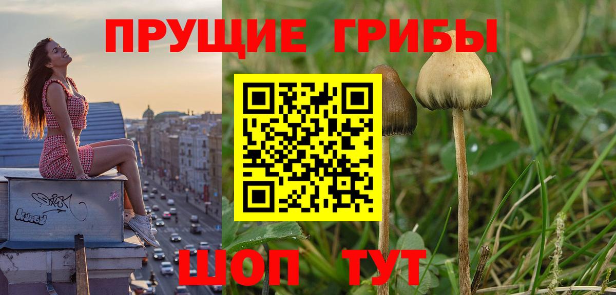 Галлюциногенные грибы Magic Shrooms Нерюнгри